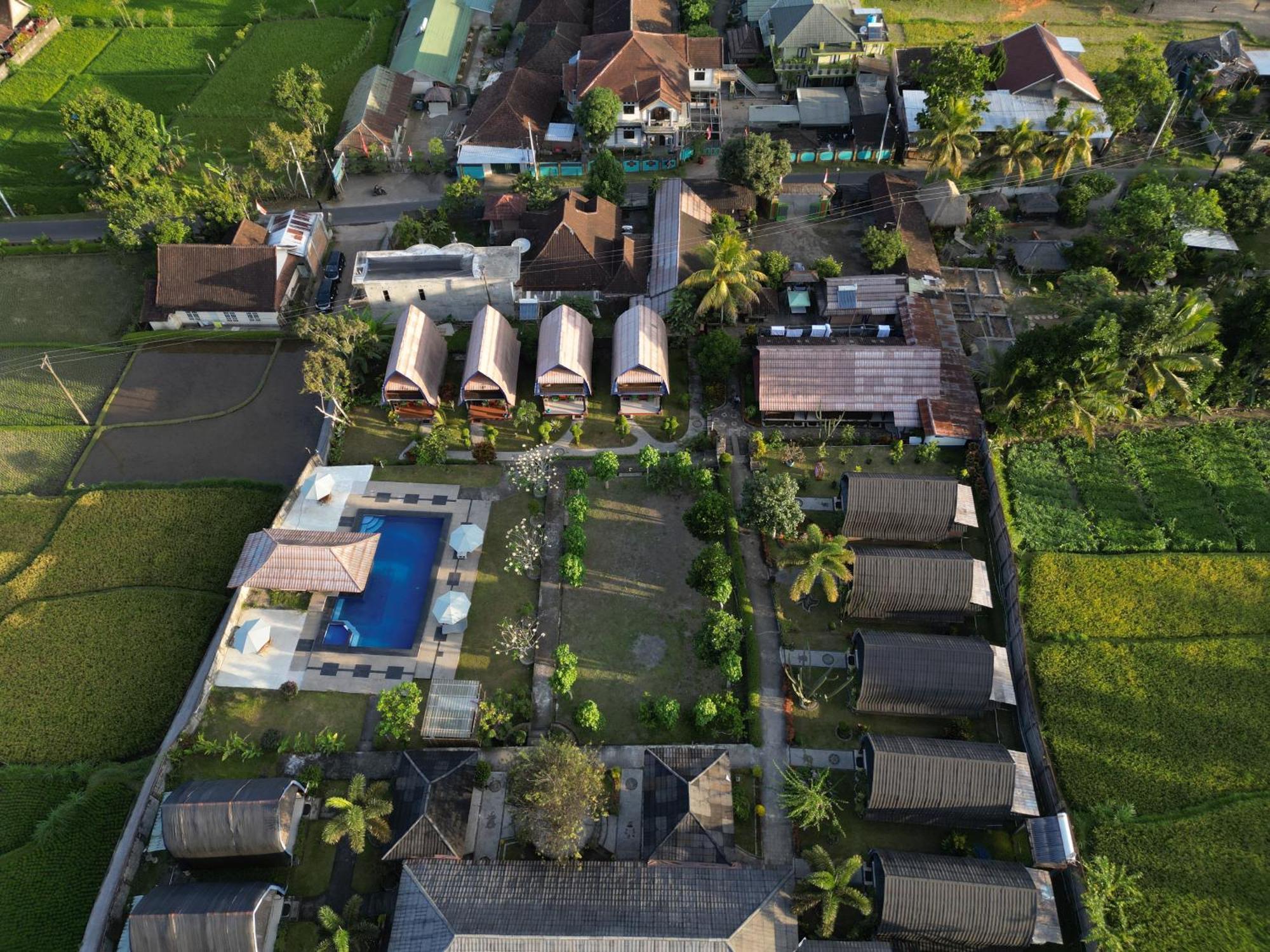 Green Orry Inn Tetebatu Extérieur photo